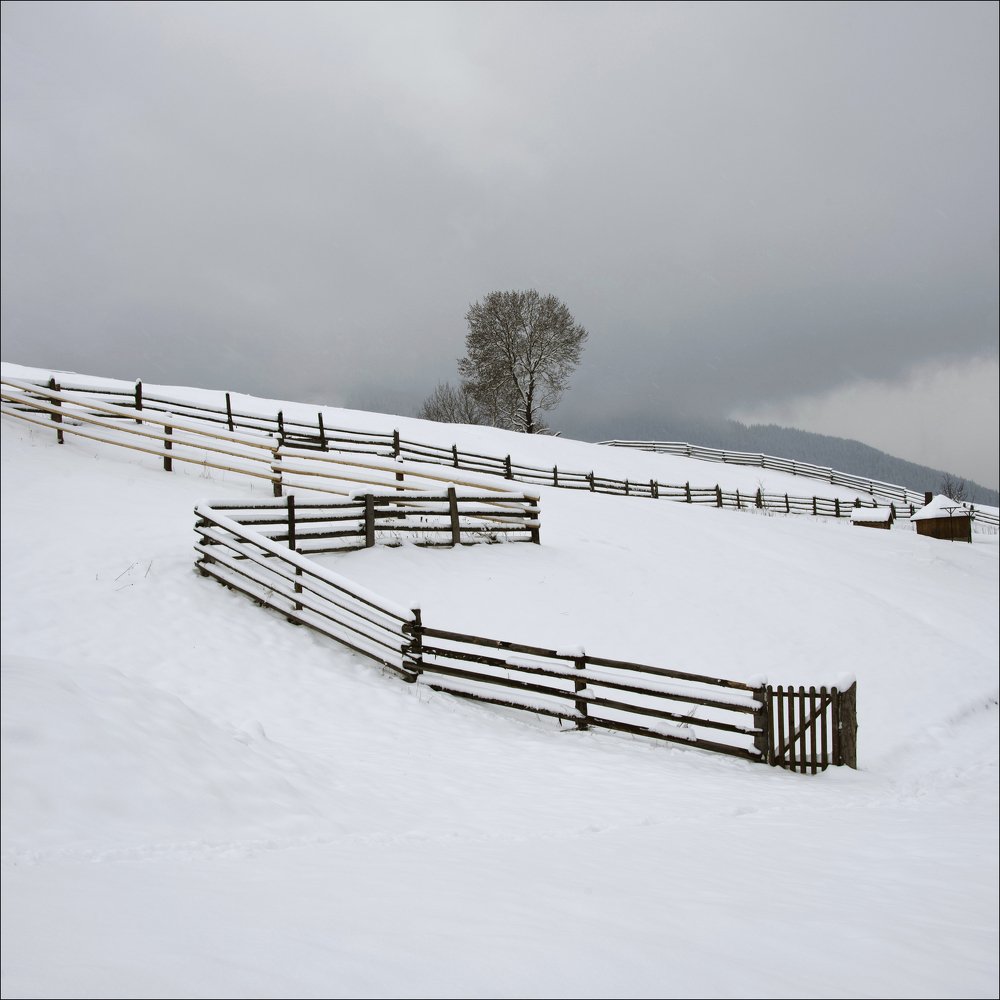 Photograph by Aeromast