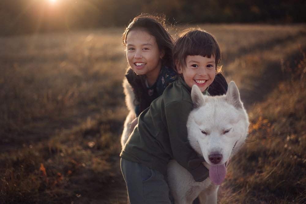 Клубок любви