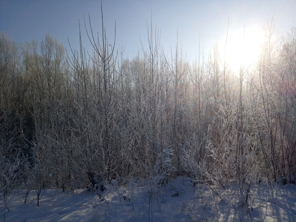 Photograph by Илья Поляков