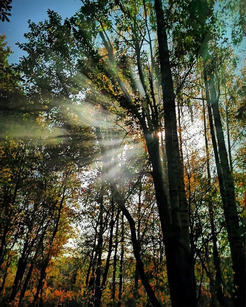 Photograph by Ирина Иванова