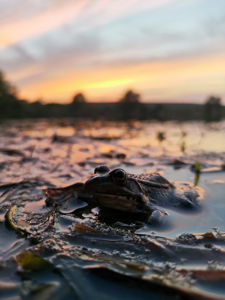 Photograph by Армен Багдасарян