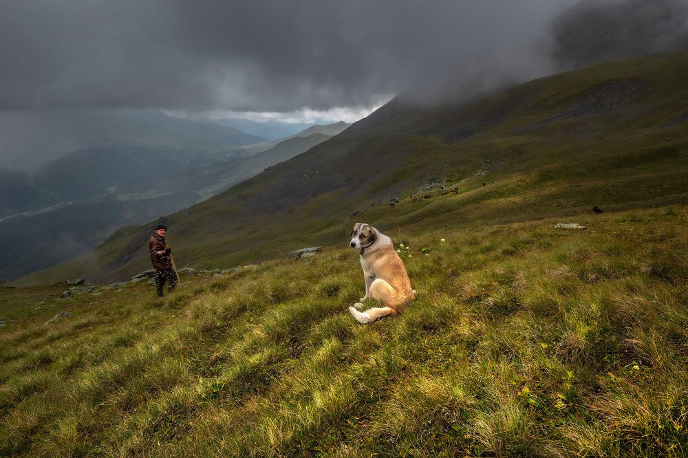Photograph by Валерий Одинцов