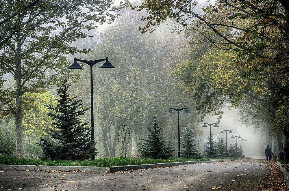 Фотография автора Владимир Троян