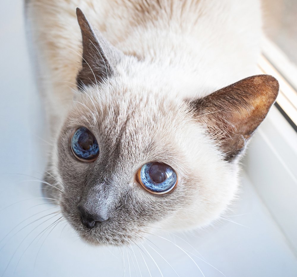 Photograph by Виктория Копытова