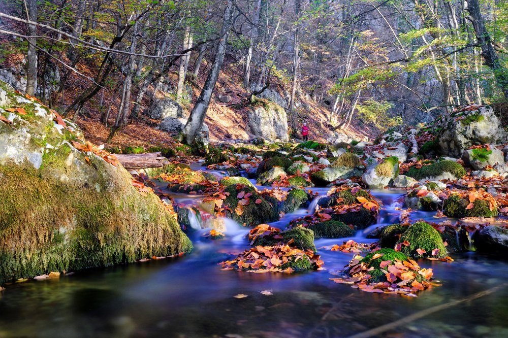 Photograph by Станислав Дроздов