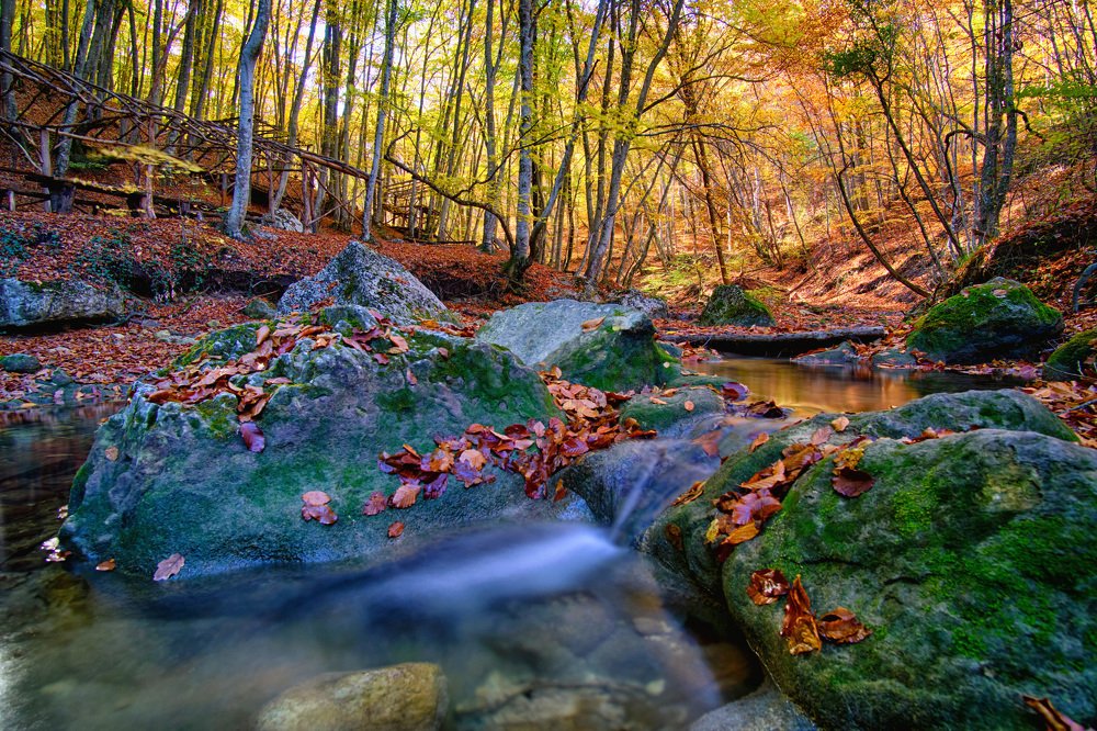 Photograph by Станислав Дроздов