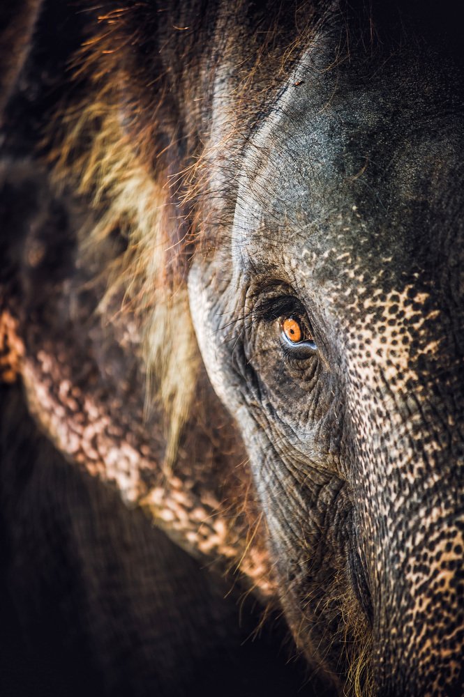 Photograph by Станислав Дроздов