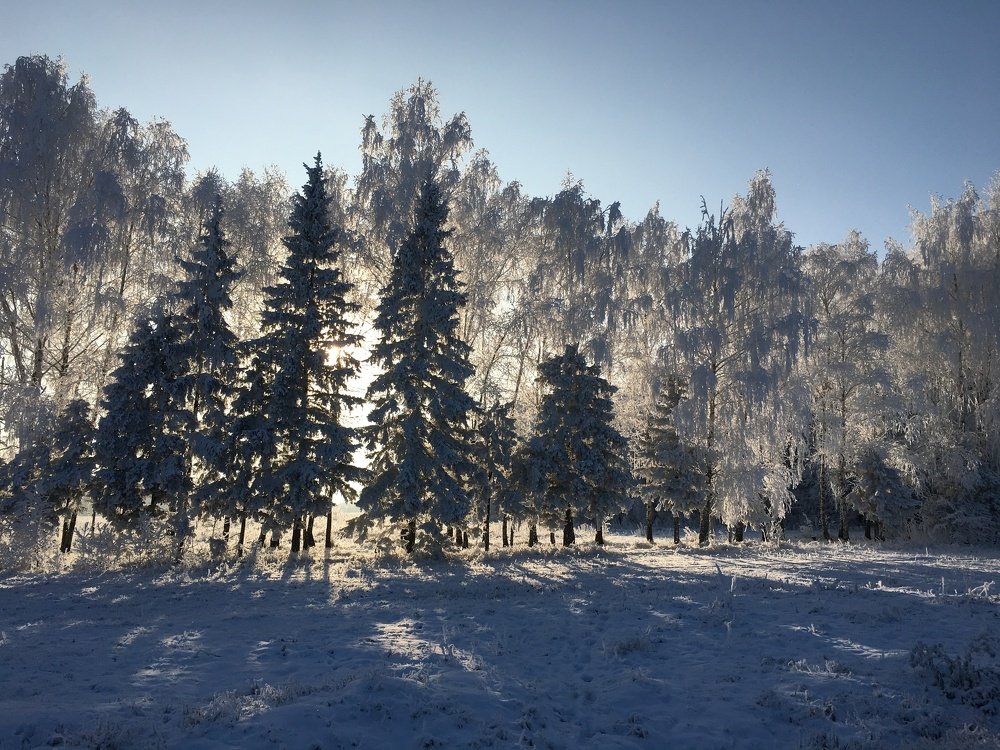 Photograph by Ксения Глубокова