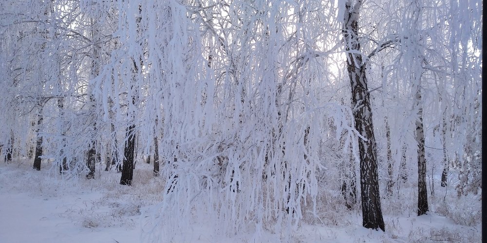Photograph by Людмила Фризен