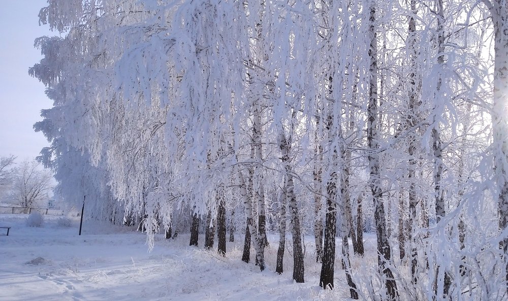 Photograph by Людмила Фризен