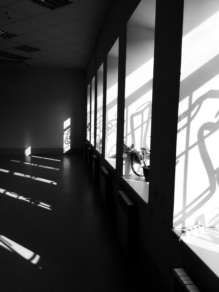 Photograph by Дарья