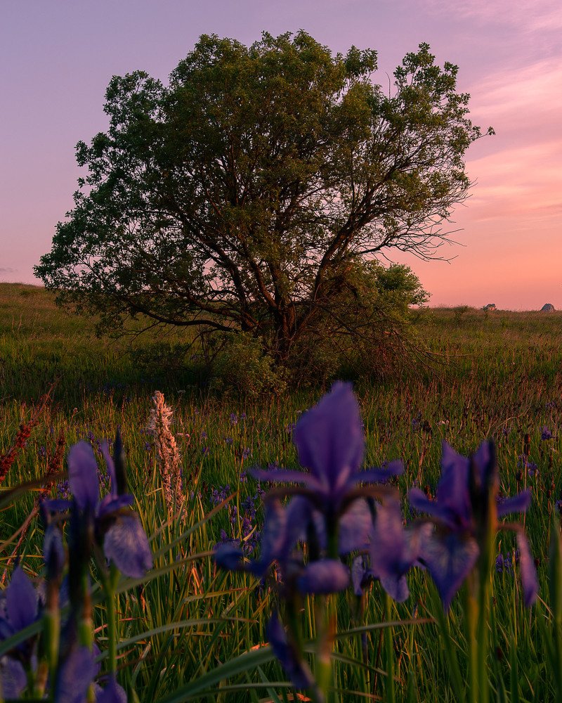 Photograph by Jernej Peljhan