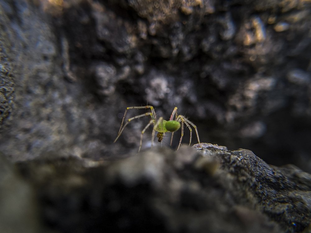 Photograph by Sai udeep sagar Yadalla