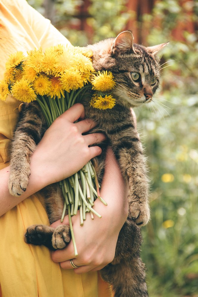 Photograph by Родионова Ксения