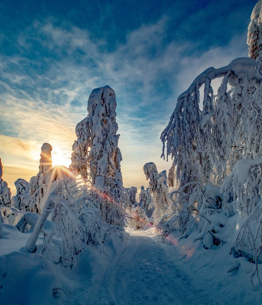 Photograph by Юрий Чернов