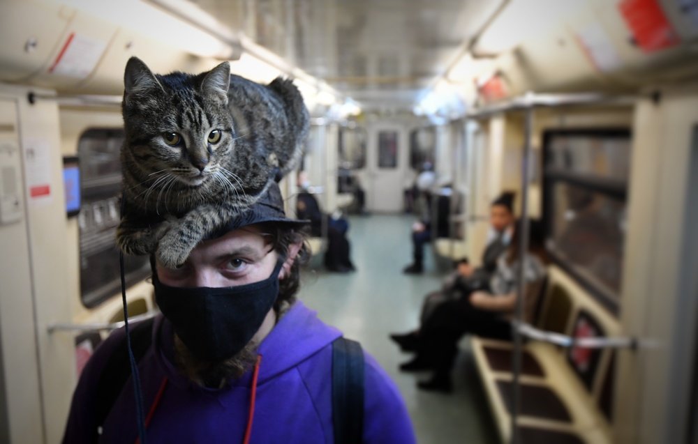 Photograph by Иван Макеев