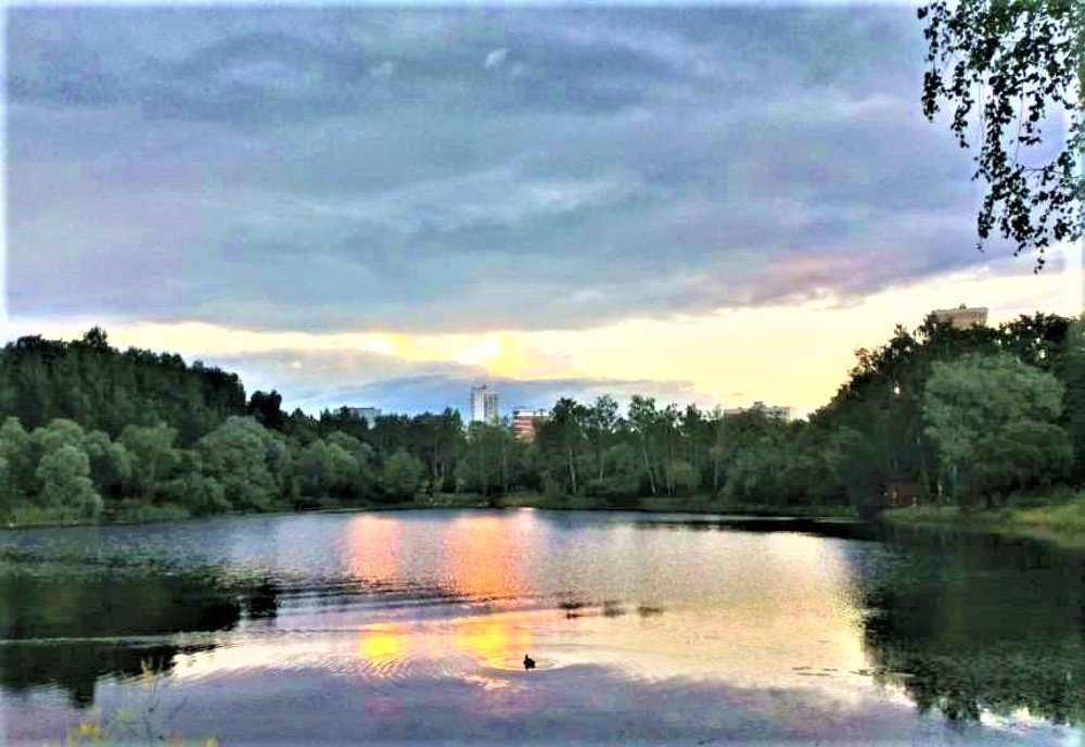 Photograph by Мария Навроцкая