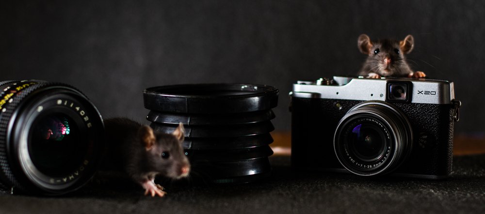 Photograph by Володимир Сорін