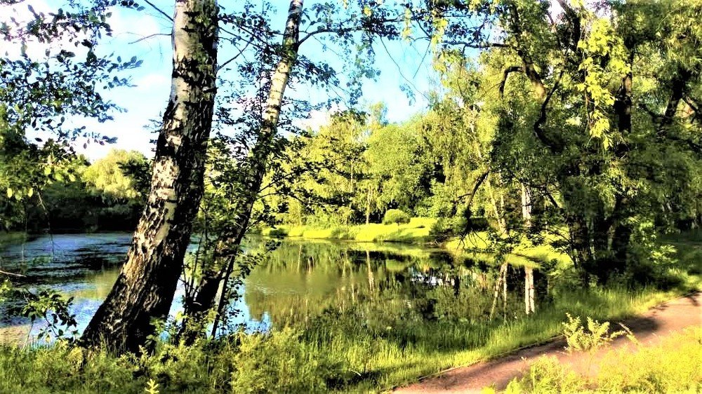Photograph by Мария Навроцкая
