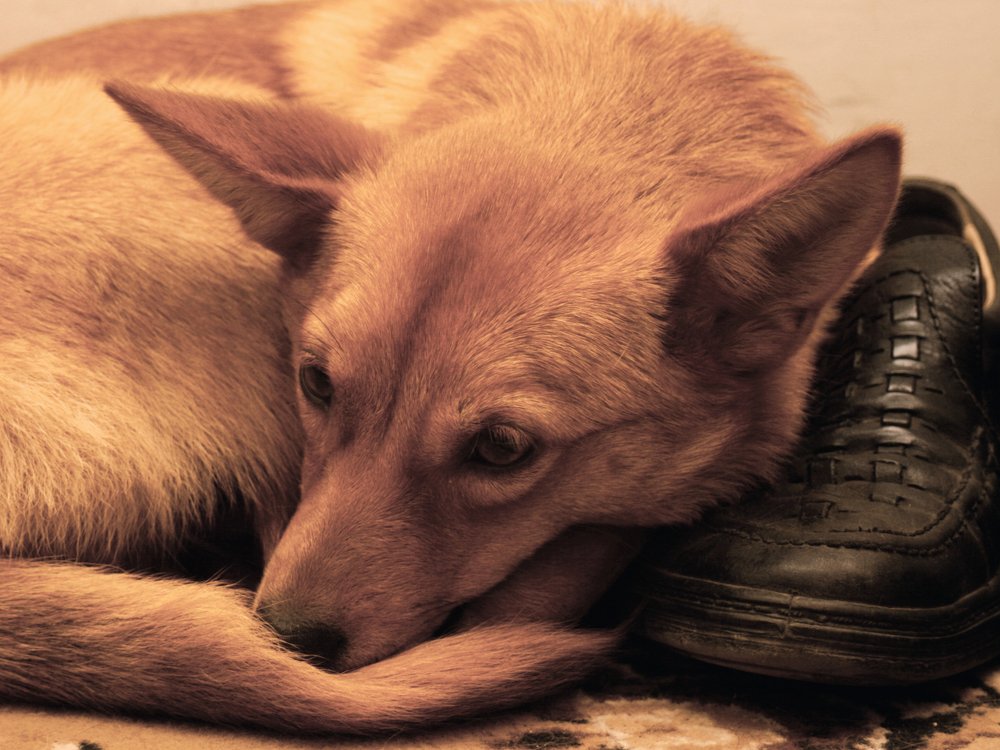 Photograph by Виктор Егоров