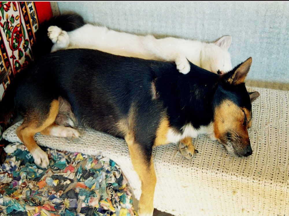 Photograph by Виктор Егоров