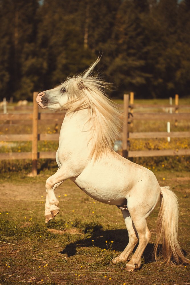 Photograph by Julia Kozemjakina