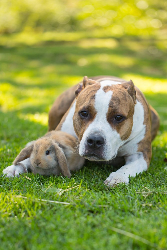 Photograph by Julia Kozemjakina