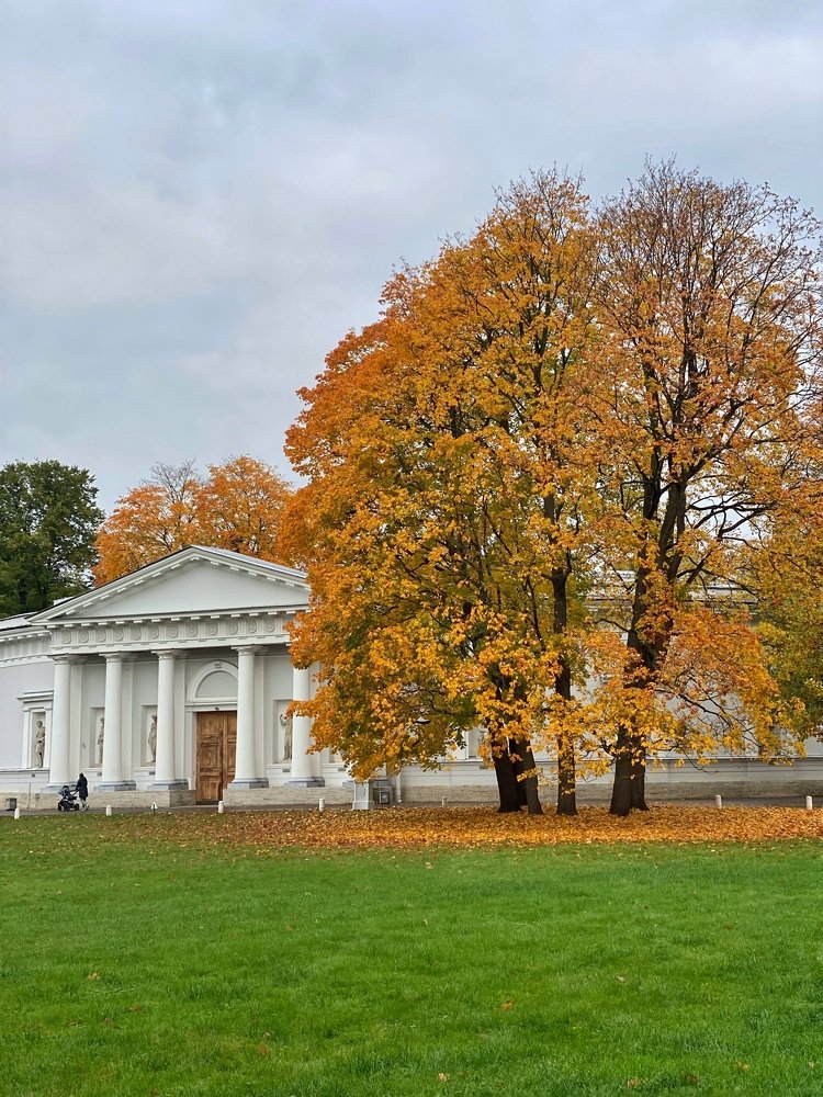 Photograph by Виталина Саврова