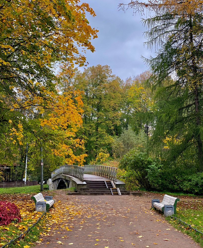 Красочная осень в Питерском парке