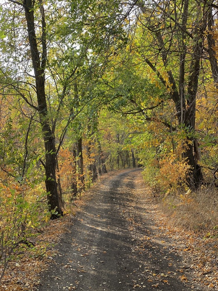 Photograph by Виталина Саврова