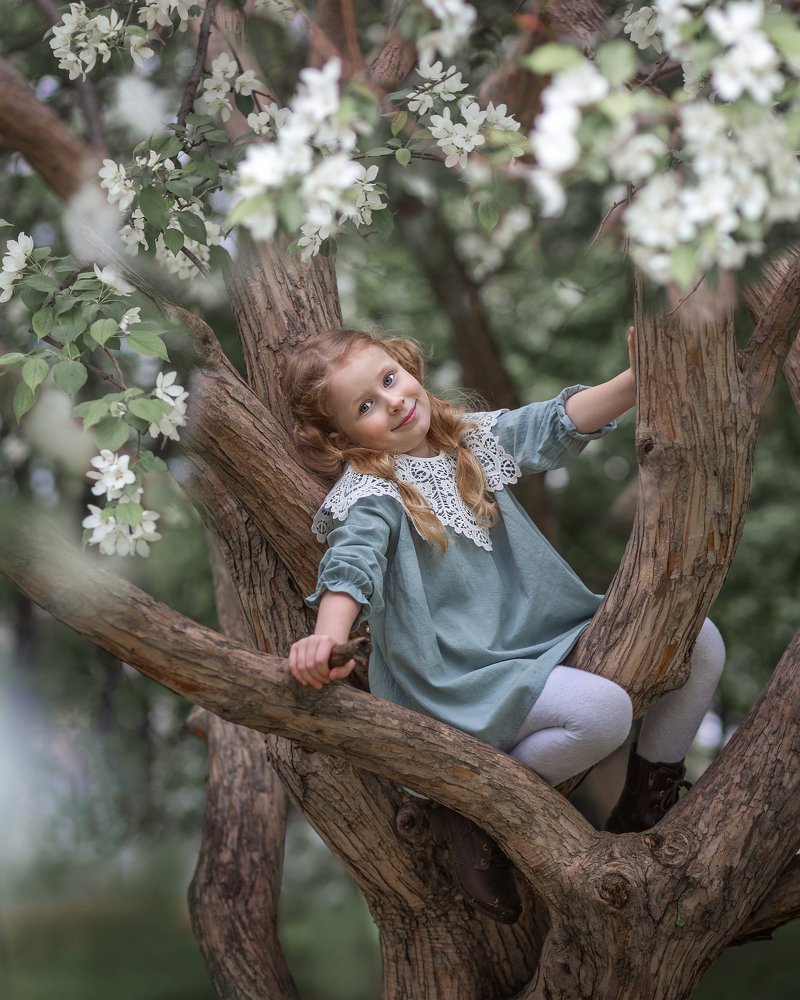 Фотография автора Елена Каликова