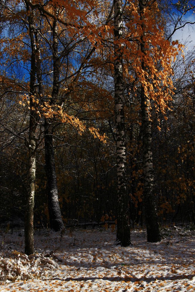 Photograph by Юлия Мазуркевич