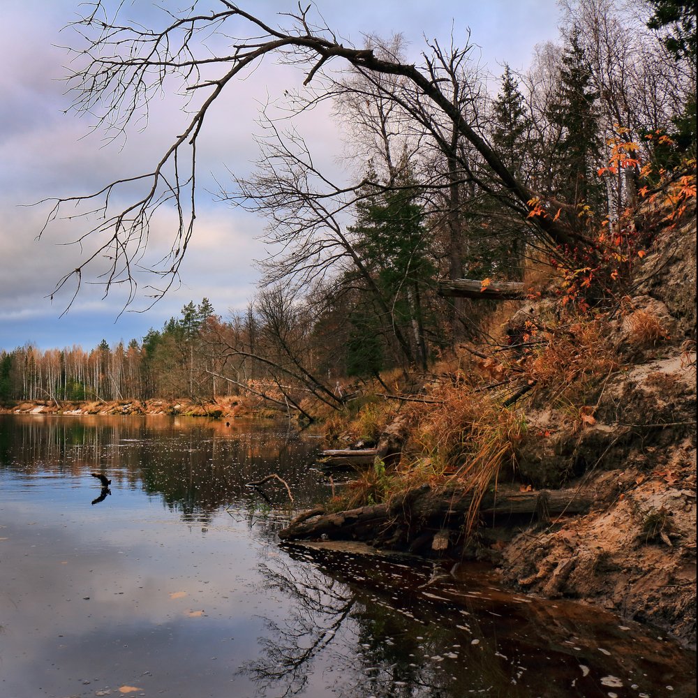 Photograph by Юлия Мазуркевич