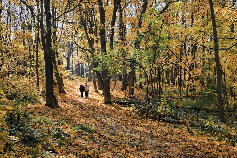 Photograph by Юлия Мазуркевич