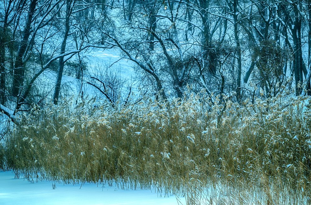 Фотография автора Владимир Троян