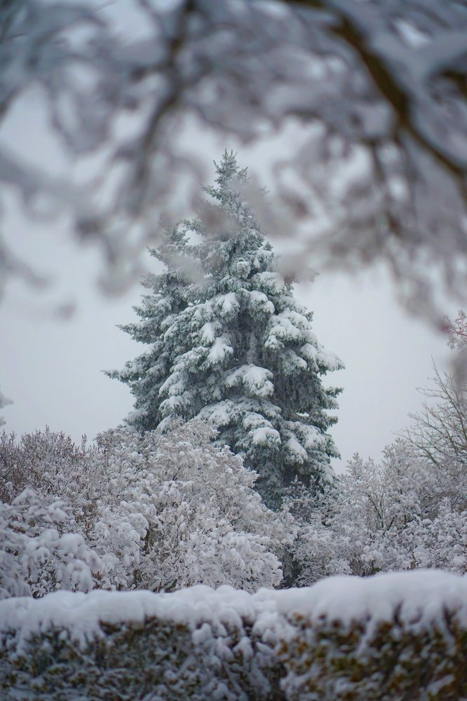 Photograph by Виталий Солтис