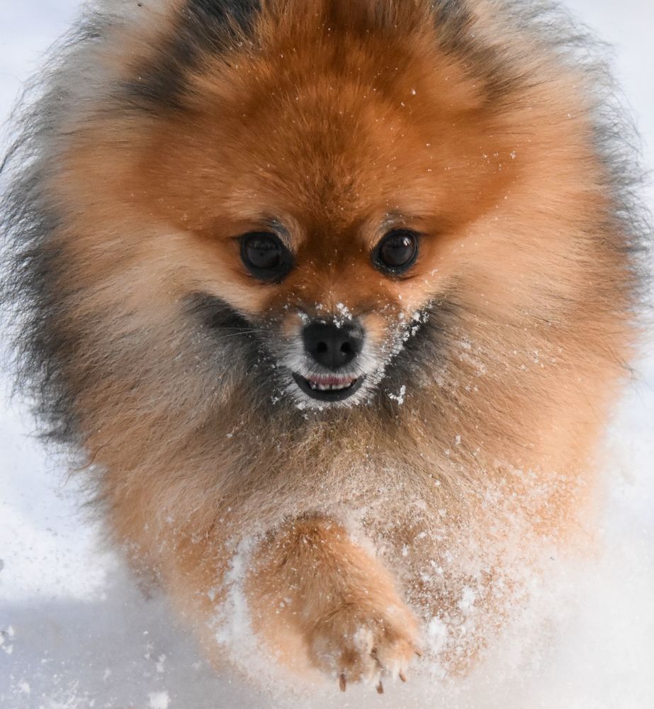 Photograph by @bersenika