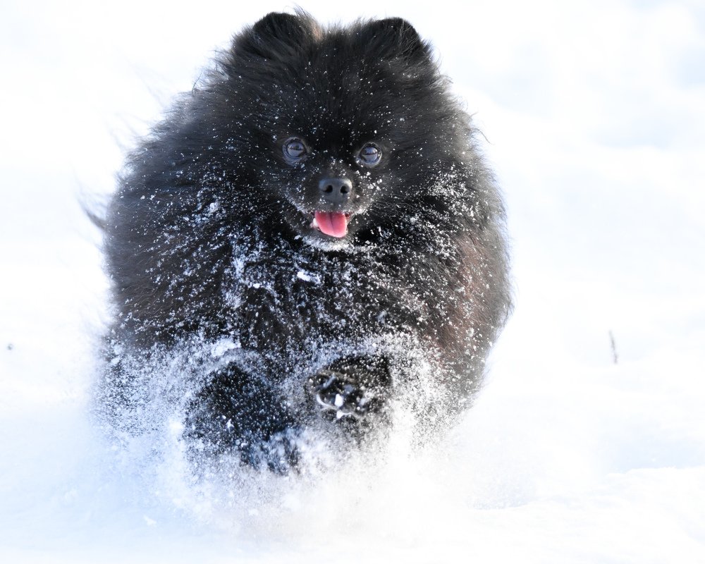 Photograph by @bersenika