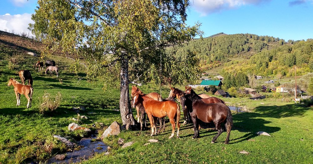 Сельская улица
