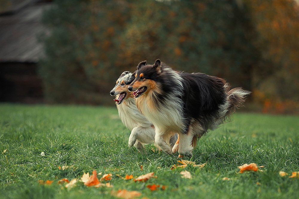 Photograph by Ирина Ларина