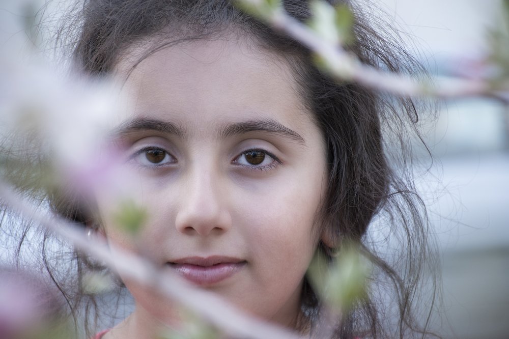 Photograph by Hojr Bagheri