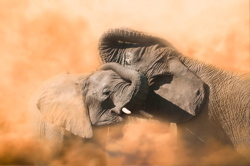 Photograph by Furqan Ali