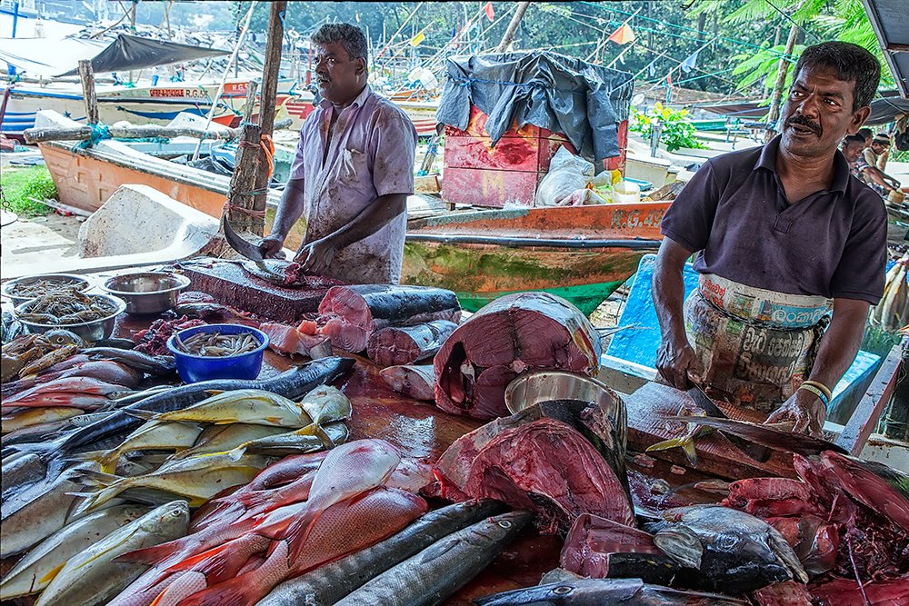 Photograph by Валентин Александров