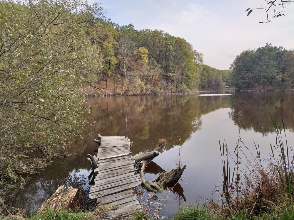 Photograph by Алексей Соболь