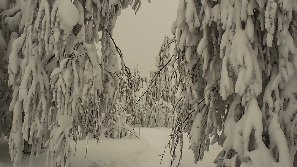 Photograph by Надежда Меркулова