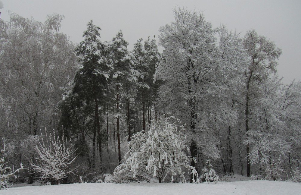 Photograph by Анна Кремешкова