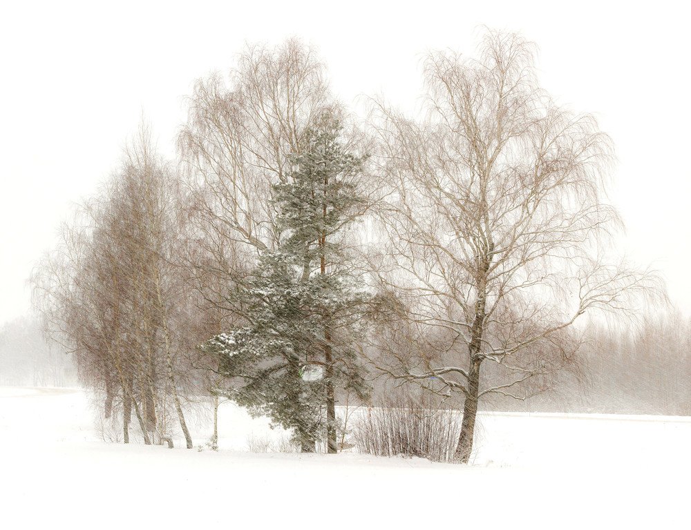 Photograph by Виталий Дорош