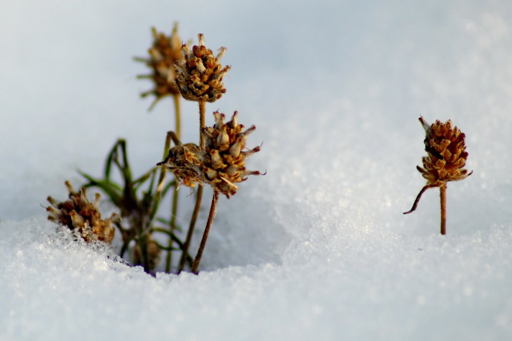 Photograph by Николай Николаевич Леухин