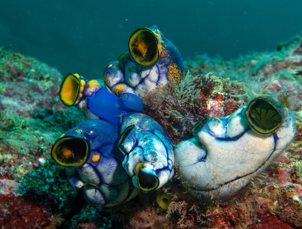 Photograph by Галина Михоношина