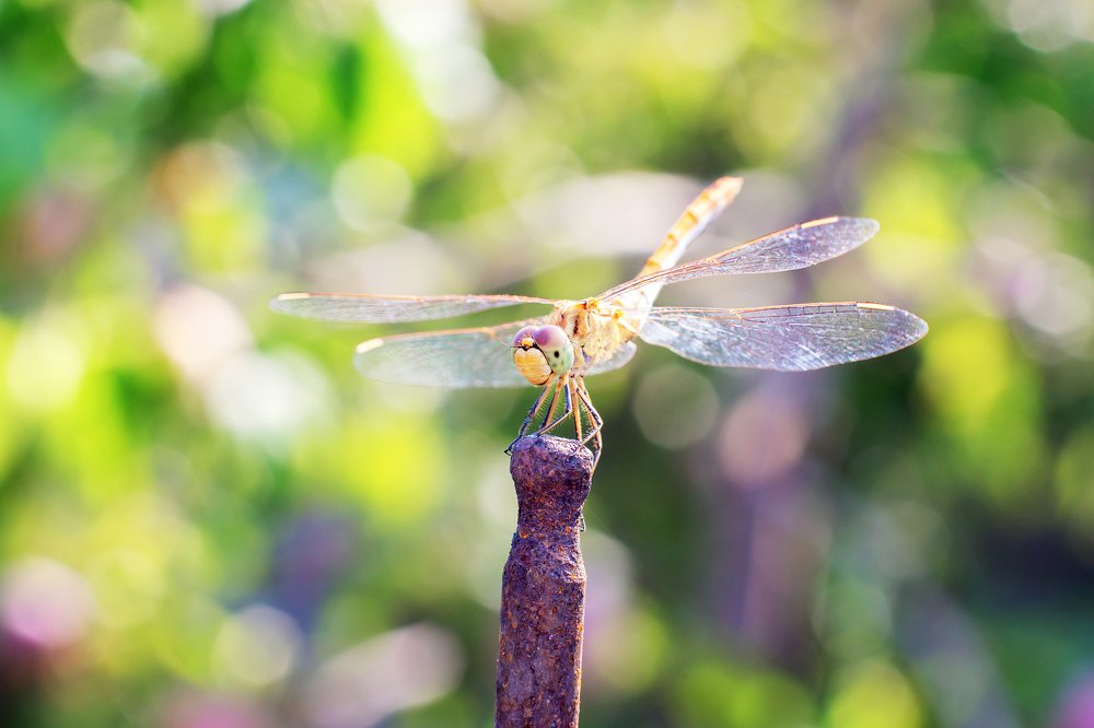 Photograph by Екатерина Кузнецова